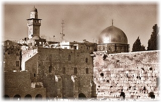 pix sample - IS 13-1 - 320px