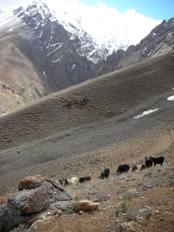 Garden 2011 205 - 800 px